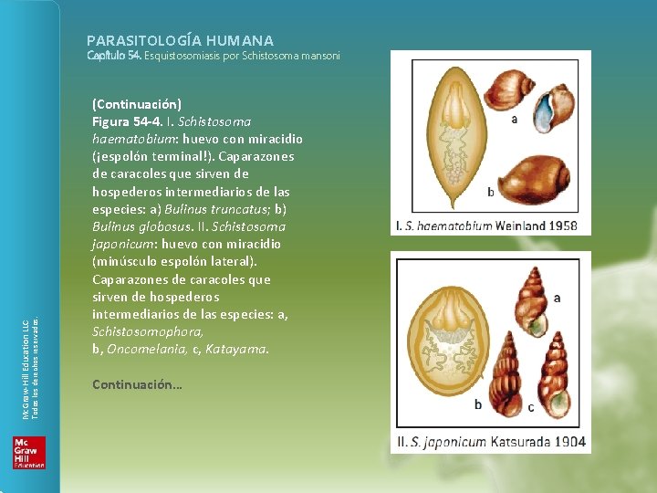 PARASITOLOGÍA HUMANA Todos los derechos reservados. Mc. Graw-Hill Education LLC Capítulo 54. Esquistosomiasis por