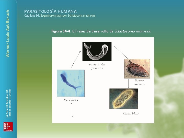 Werner Louis Apt Baruch Todos los derechos reservados. Mc. Graw-Hill Education LLC PARASITOLOGÍA HUMANA
