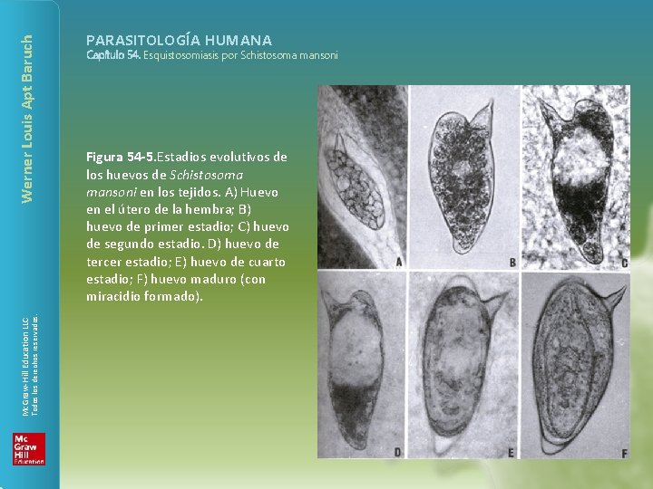 Werner Louis Apt Baruch Todos los derechos reservados. Mc. Graw-Hill Education LLC PARASITOLOGÍA HUMANA
