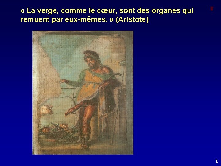  « La verge, comme le cœur, sont des organes qui remuent par eux-mêmes.