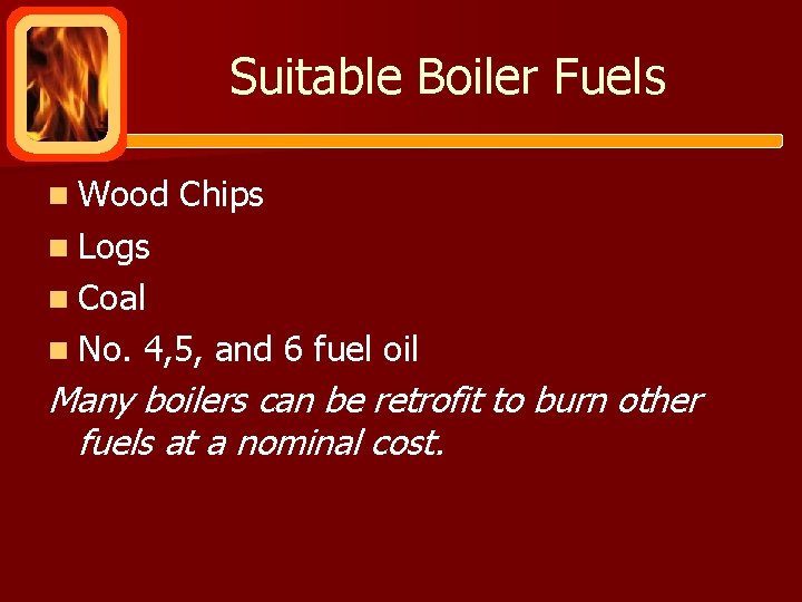 Suitable Boiler Fuels n Wood Chips n Logs n Coal n No. 4, 5,