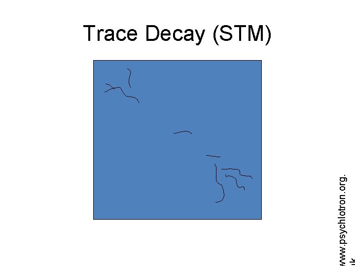 ww. psychlotron. org. Trace Decay (STM) 
