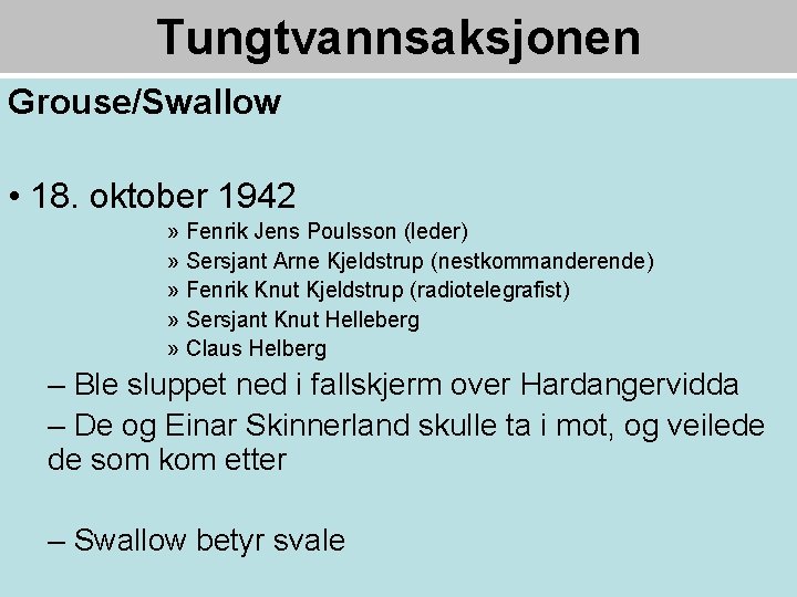 Tungtvannsaksjonen Grouse/Swallow • 18. oktober 1942 » Fenrik Jens Poulsson (leder) » Sersjant Arne