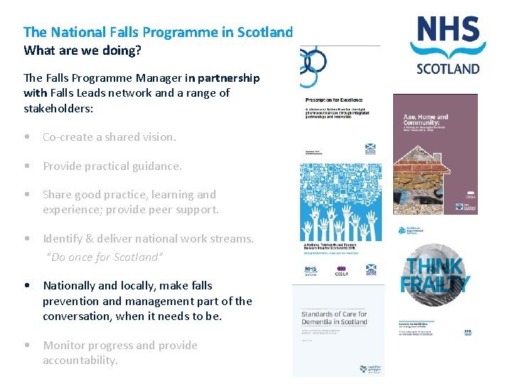 The National Falls Programme in Scotland What are we doing? The Falls Programme Manager