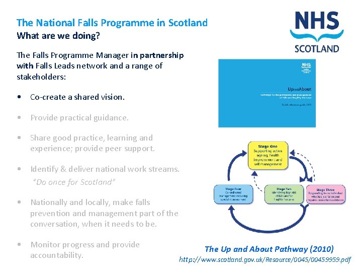 The National Falls Programme in Scotland What are we doing? The Falls Programme Manager