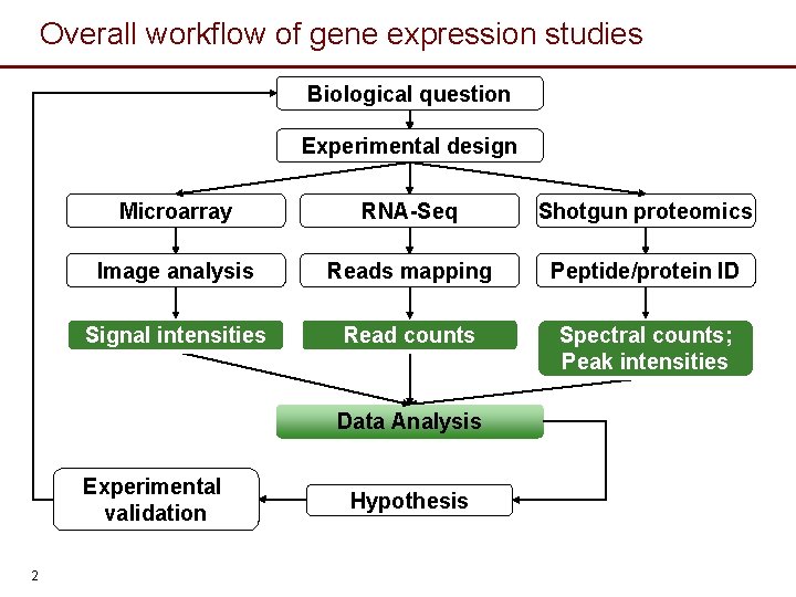 Overall workflow of gene expression studies Biological question Experimental design Microarray RNA-Seq Shotgun proteomics