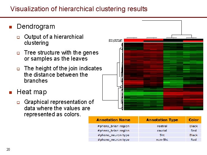 Visualization of hierarchical clustering results n Dendrogram q q q n Tree structure with