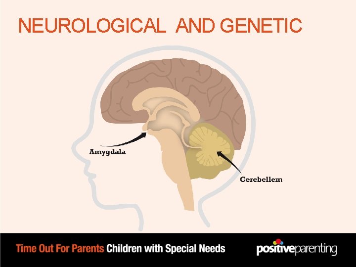 NEUROLOGICAL AND GENETIC NEUROLOGICAL AND GENETIC