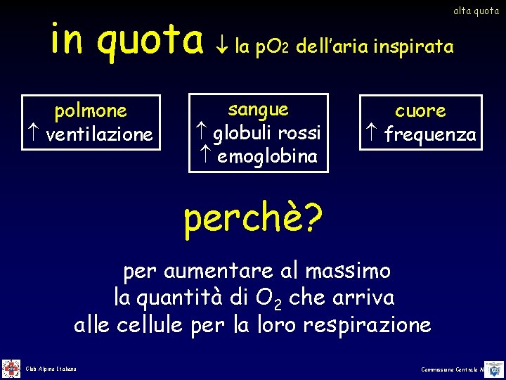 in quota polmone ventilazione alta quota la p. O 2 dell’aria inspirata sangue globuli in quota polmone ventilazione alta quota la p. O 2 dell’aria inspirata sangue globuli