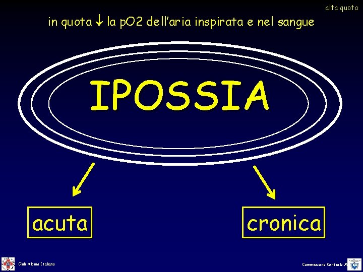 in quota la p. O 2 dell’aria inspirata e nel sangue alta quota IPOSSIA in quota la p. O 2 dell’aria inspirata e nel sangue alta quota IPOSSIA
