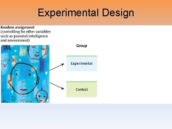 Experimental Design 