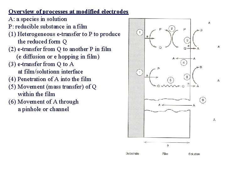 Overview of processes at modified electrodes A: a species in solution P: reducible substance