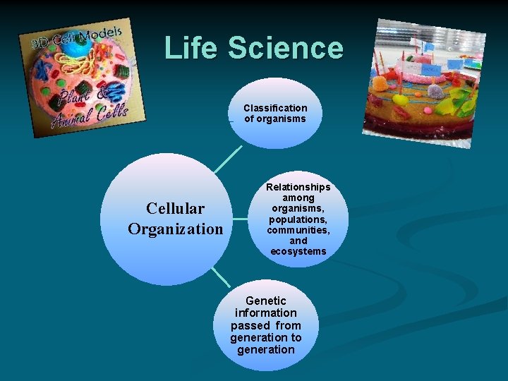 Life Science Classification of organisms Cellular Organization Relationships among organisms, populations, communities, and ecosystems