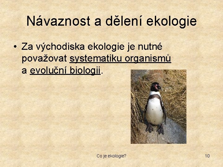 Návaznost a dělení ekologie • Za východiska ekologie je nutné považovat systematiku organismů a