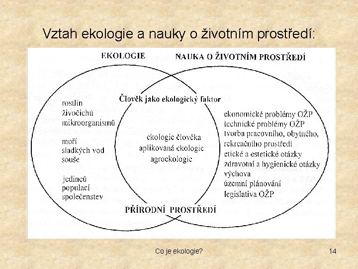 Vztah ekologie a nauky o životním prostředí: Co je ekologie? 14 