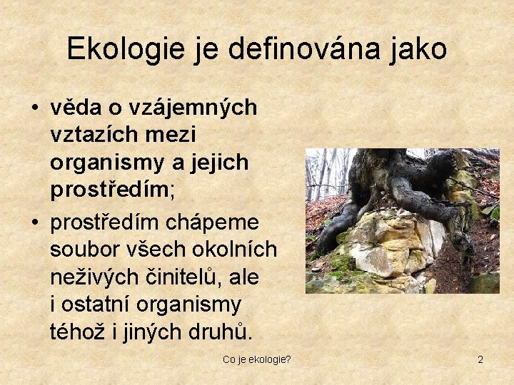 Ekologie je definována jako • věda o vzájemných vztazích mezi organismy a jejich prostředím;