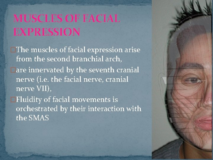MUSCLES OF FACIAL EXPRESSION �The muscles of facial expression arise from the second branchial