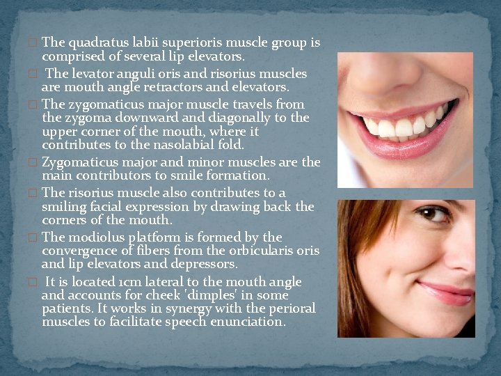 � The quadratus labii superioris muscle group is comprised of several lip elevators. �