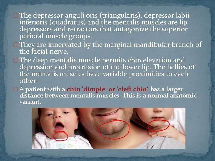 � The depressor anguli oris (triangularis), depressor labii inferioris (quadratus) and the mentalis muscles