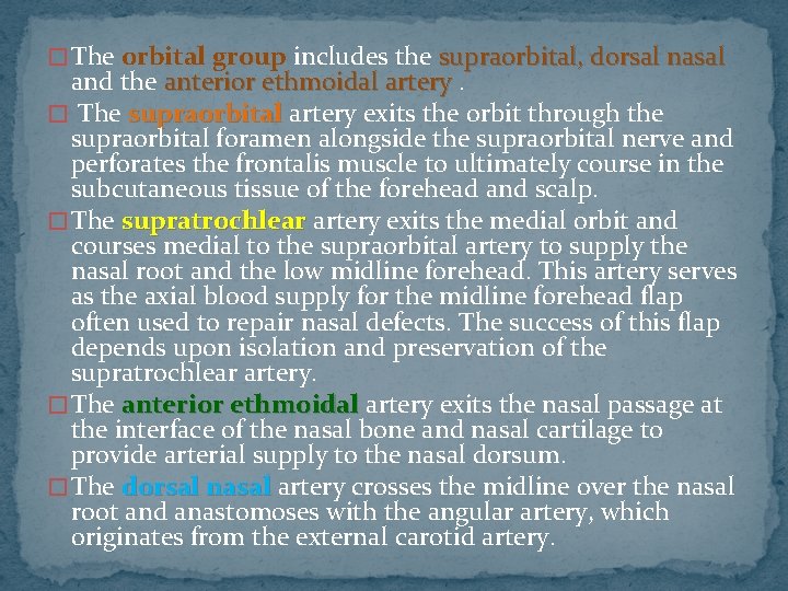 � The orbital group includes the supraorbital, dorsal nasal and the anterior ethmoidal artery.