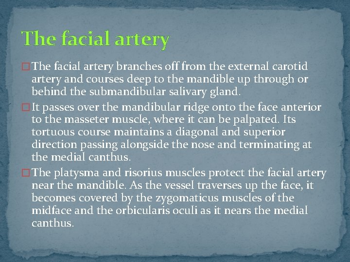 The facial artery � The facial artery branches off from the external carotid artery