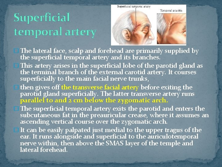 Superficial temporal artery � The lateral face, scalp and forehead are primarily supplied by