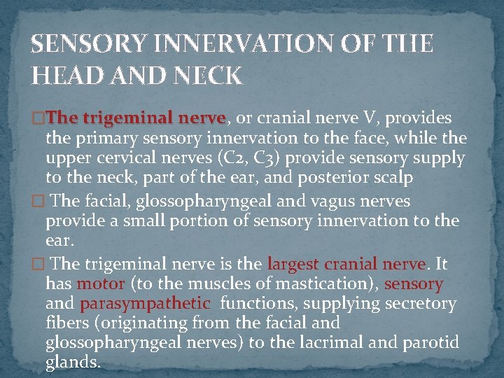 SENSORY INNERVATION OF THE HEAD AND NECK �The trigeminal nerve, nerve or cranial nerve