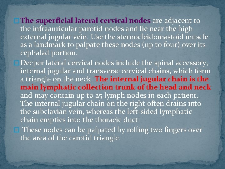 � The superficial lateral cervical nodes are adjacent to the infraauricular parotid nodes and