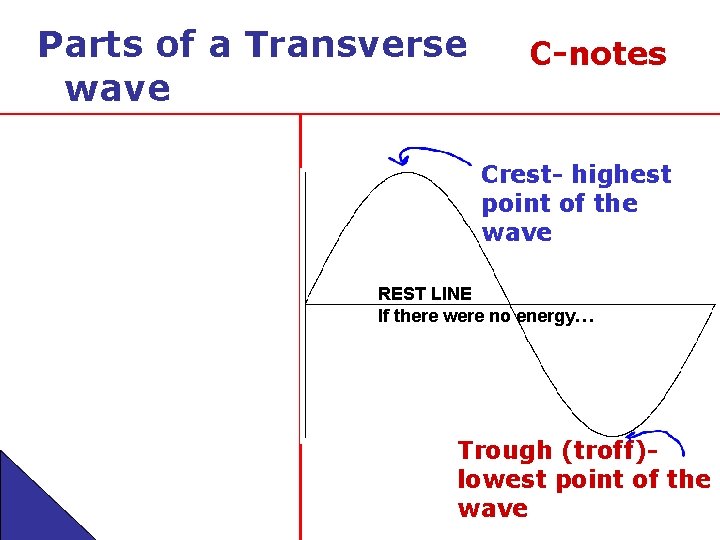 Parts of a Transverse wave C-notes Crest- highest point of the wave REST LINE