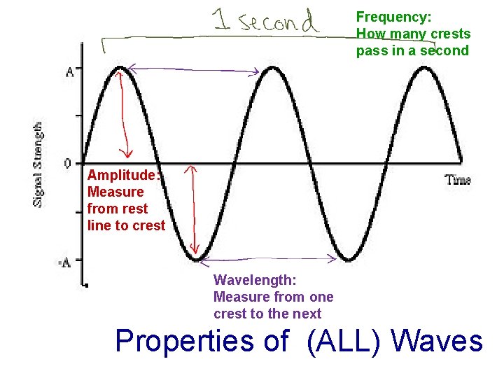 Frequency: How many crests pass in a second Amplitude: Measure from rest line to