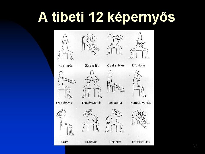 A tibeti 12 képernyős 24 