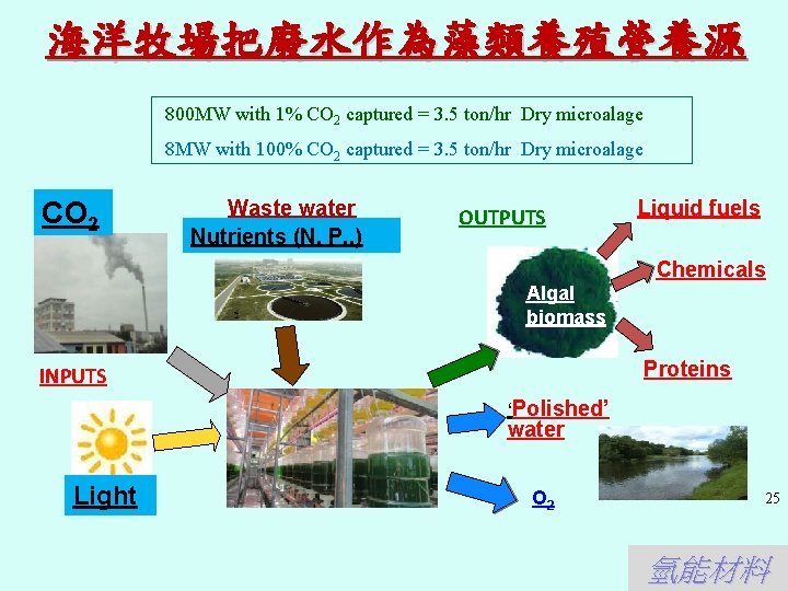 海洋牧場把廢水作為藻類養殖營養源 800 MW with 1% CO 2 captured = 3. 5 ton/hr Dry microalage