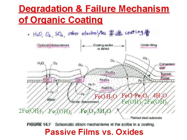 Degradation & Failure Mechanism of Organic Coating Fe. O. H 2 O Fe. O.