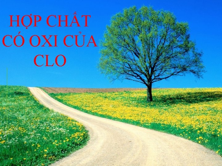 HỢP CHẤT CÓ OXI CỦA CLO 