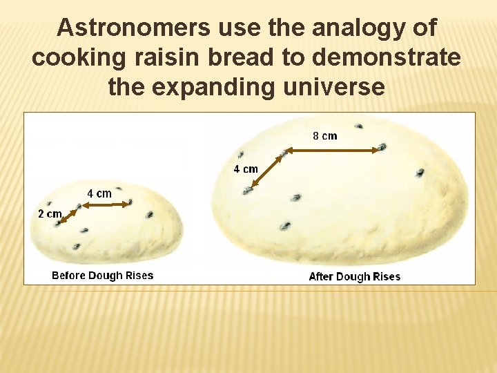 Astronomers use the analogy of cooking raisin bread to demonstrate the expanding universe Astronomers use the analogy of cooking raisin bread to demonstrate the expanding universe