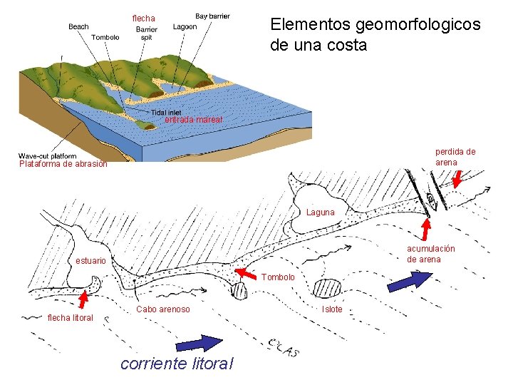 flecha Elementos geomorfologicos de una costa entrada mareal perdida de arena Plataforma de abrasión
