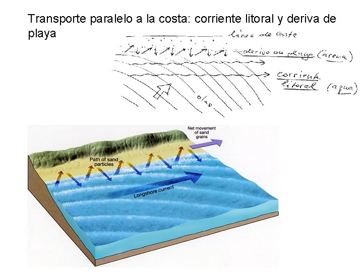 Transporte paralelo a la costa: corriente litoral y deriva de playa 