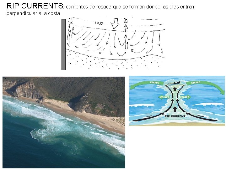 RIP CURRENTS: corrientes de resaca que se forman donde las olas entran perpendicular a