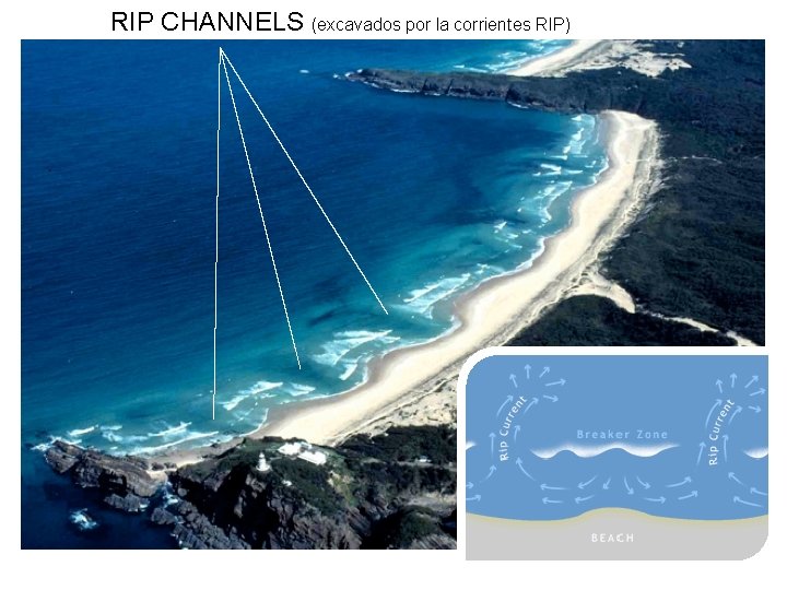 RIP CHANNELS (excavados por la corrientes RIP) 