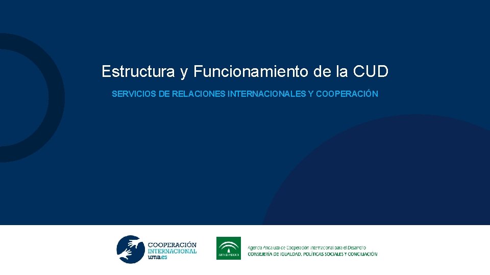 Estructura y Funcionamiento de la CUD SERVICIOS DE RELACIONES INTERNACIONALES Y COOPERACIÓN 