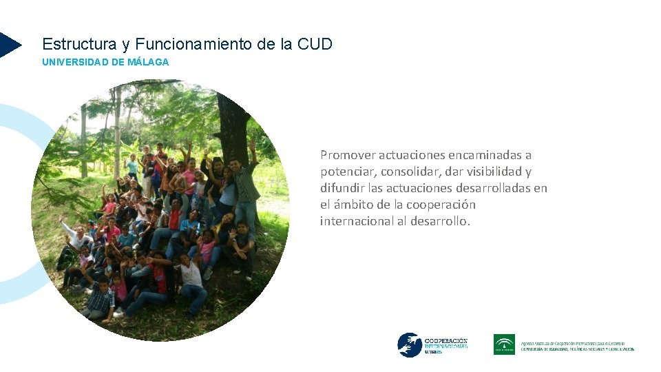 Estructura y Funcionamiento de la CUD UNIVERSIDAD DE MÁLAGA Promover actuaciones encaminadas a potenciar,