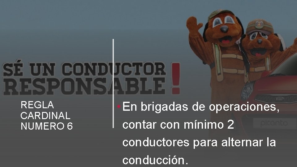 REGLA CARDINAL NUMERO 6 • En brigadas de operaciones, contar con mínimo 2 conductores REGLA CARDINAL NUMERO 6 • En brigadas de operaciones, contar con mínimo 2 conductores