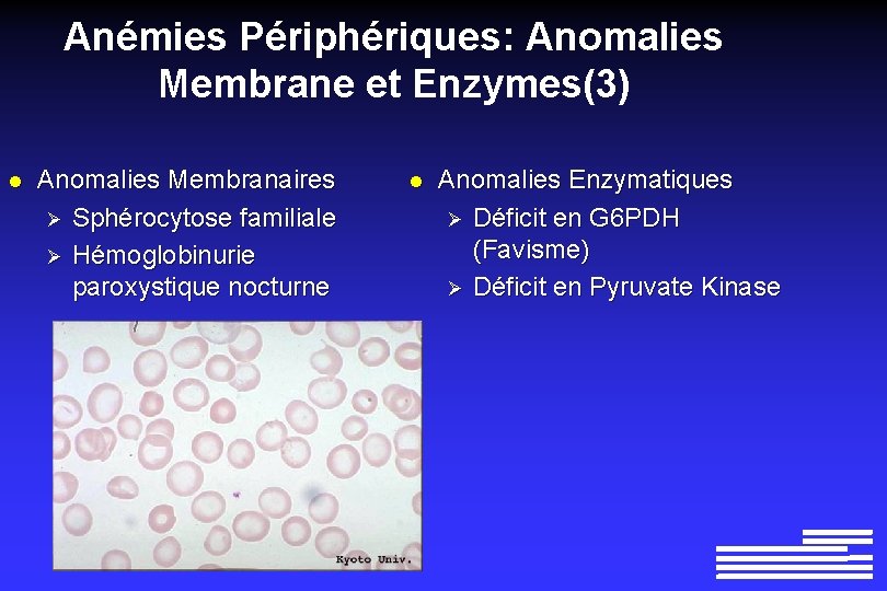 Anémies Périphériques: Anomalies Membrane et Enzymes(3) l Anomalies Membranaires Ø Sphérocytose familiale Ø Hémoglobinurie