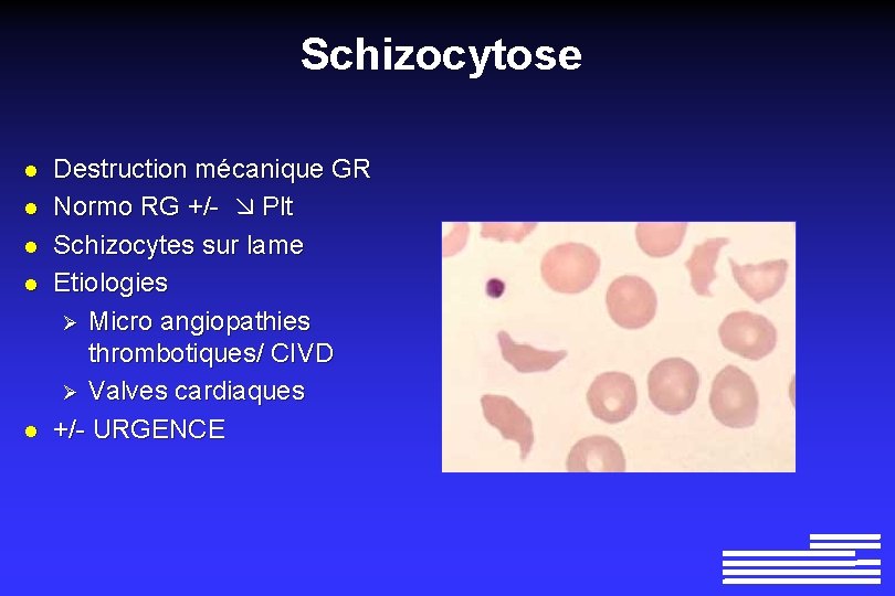 Schizocytose l l l Destruction mécanique GR Normo RG +/- Plt Schizocytes sur lame