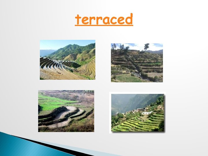 terraced 