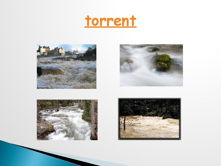 torrent 