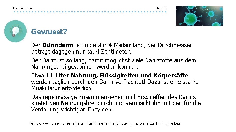 Mikroorganismen 3. Zyklus Gewusst? Der Dünndarm ist ungefähr 4 Meter lang, der Durchmesser beträgt