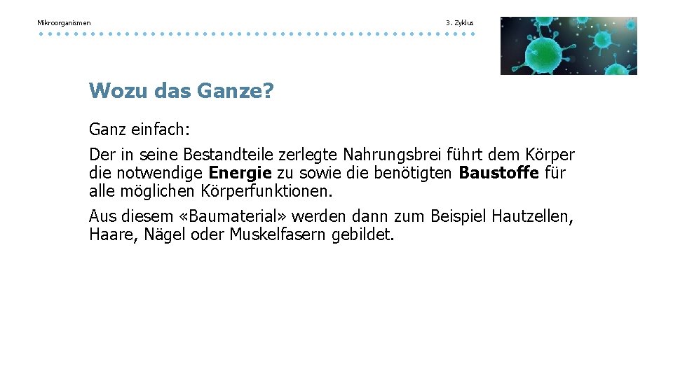 Mikroorganismen 3. Zyklus Wozu das Ganze? Ganz einfach: Der in seine Bestandteile zerlegte Nahrungsbrei Mikroorganismen 3. Zyklus Wozu das Ganze? Ganz einfach: Der in seine Bestandteile zerlegte Nahrungsbrei