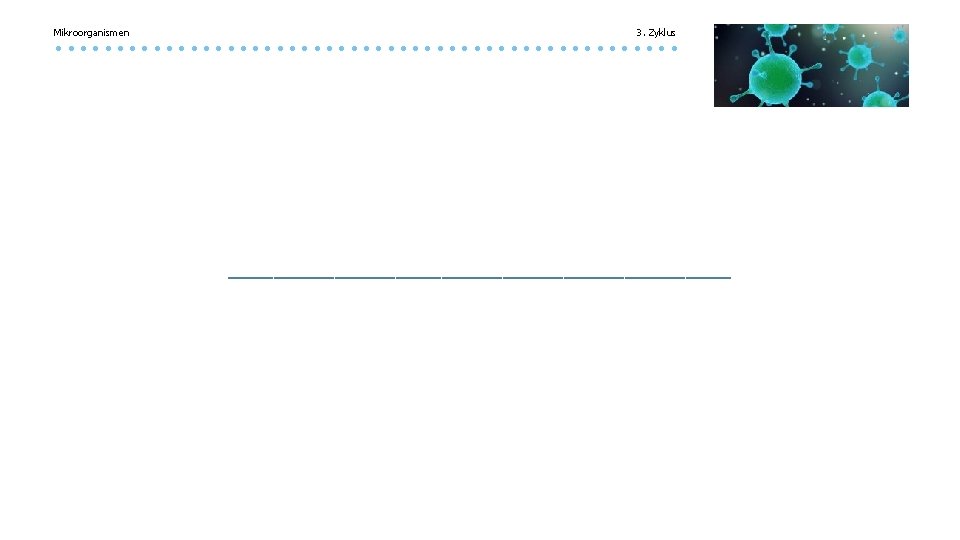 Mikroorganismen 3. Zyklus _________________ 