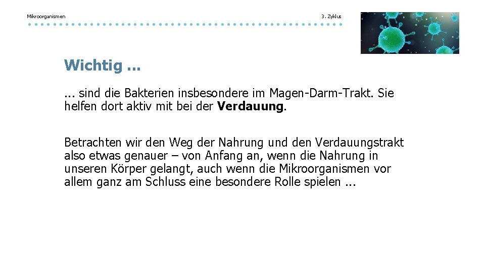 Mikroorganismen 3. Zyklus Wichtig. . . sind die Bakterien insbesondere im Magen-Darm-Trakt. Sie helfen